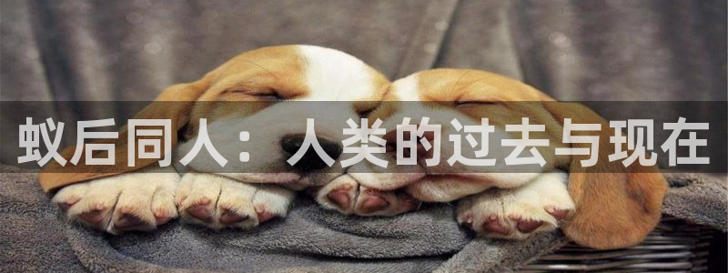 包子漫画网免费漫画网页：蚁后同人：人类的过去与现在