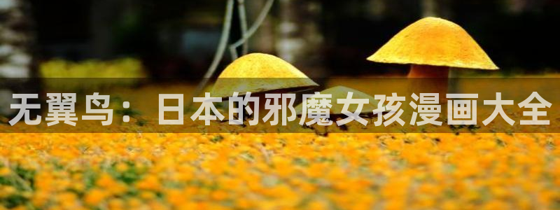 包子漫画的：无翼鸟：日本的邪魔女孩漫画大全